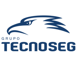 Grupo Tecnoseg